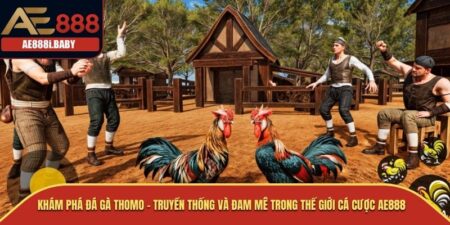 Đá gà Thomo